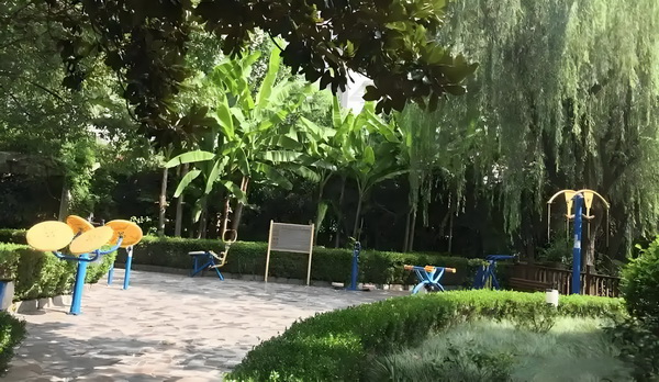 糕点师入户深圳_《扫毒风暴》大结局王奇令人失望！林强峰的牺牲，与她有隐秘关联 并且两人立的个体是独